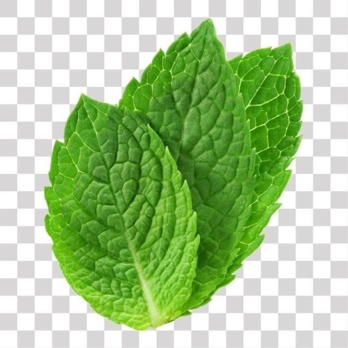 شهادات تقدير